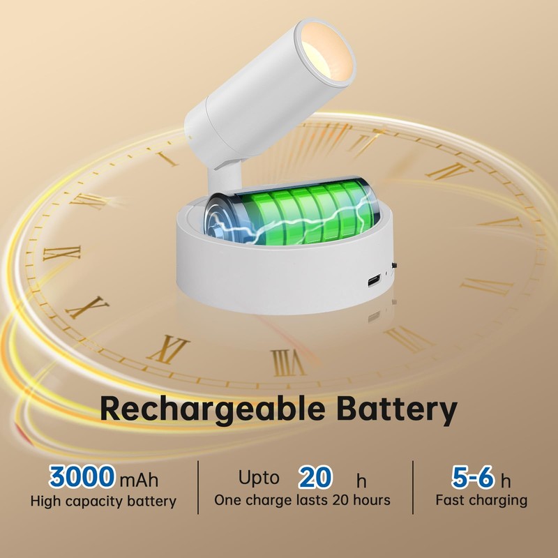 TaoFiaCo Wireless Led Spotlight Indoor, Plant Spotlight Indoor with Remote
