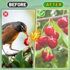 Easy Installation Fruit Tree Netting with Zipper & Drawstring -