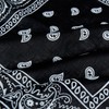 Laciteinterdite Set of 3 Paisley Bandanas for Men and Women,
