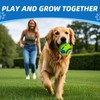 SHAKE AND LAUGH Dog Toys Ball, Interactive Dog Ball, Shaking