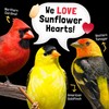COOL BIRDS Hearts on Fire Hot Bird Seed – 10