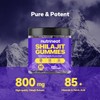 Shilajit Gummies (60 Count), Organic Shilajit Gummies for Men &