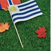 Ckexin 25Pack Small Uruguay Flag Handheld Mini Uruguayan Flags on