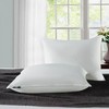 Serta 233 Thread Count White Goose Feather Medium Firm 100%