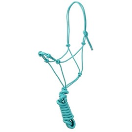 Yearling Cowboy Knot Halter & Lead (Teal)