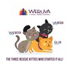 Weruva B.F.F. PLAY - Best Feline Friend Paté Lovers, Aw