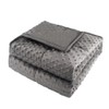 ALANSMA Reversible Weighted Blanket for All Season, Luxury Velvet, Warm