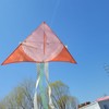 Cartoon Kite Durable Exquisite Triangle Colorful Kite Easy Fly Beginner