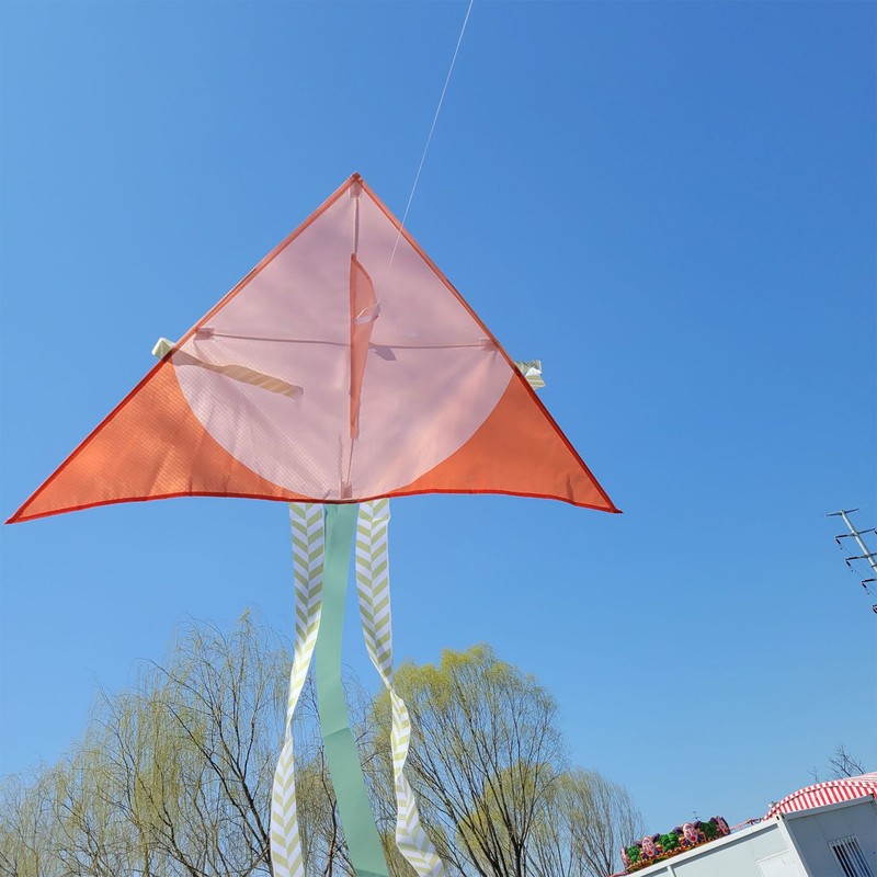 Cartoon Kite Durable Exquisite Triangle Colorful Kite Easy Fly Beginner
