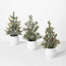 Sullivans Potted Pine Tree Set/3, Christmas Décor Trees, Holiday Decor, Christmas Tabletop Trees, Mantle Decor, Christmas Decorations