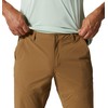 Mountain Hardwear Men's Basin Trek Pant, Corozo Nut, 32 x