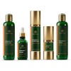 Tree Of Life Paquete Completo De 5 Iluminadores Vitamina C