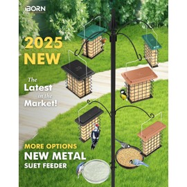 iBorn Suet Feeder Suet Bird Feeders [Single Capacity] for Outside Hanging with Taller Grid for Woodpecker,Metal Black（Pack of 2）