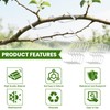Pack of 30 Branch Separators for Fruit Trees, 8/10 cm