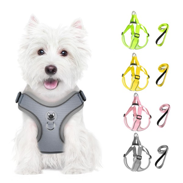 Feycig Dog Harness for Small Dogs, Anti-Pull Adjustable, Reflective Harness,
