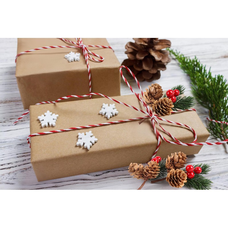 LOKIPA 12 PCS Artificial Picks Christmas Artificial Pine Cones Christmas