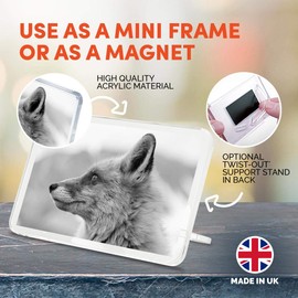 1 x Fridge Magnet - Wildfox Nature Wildlife #38710