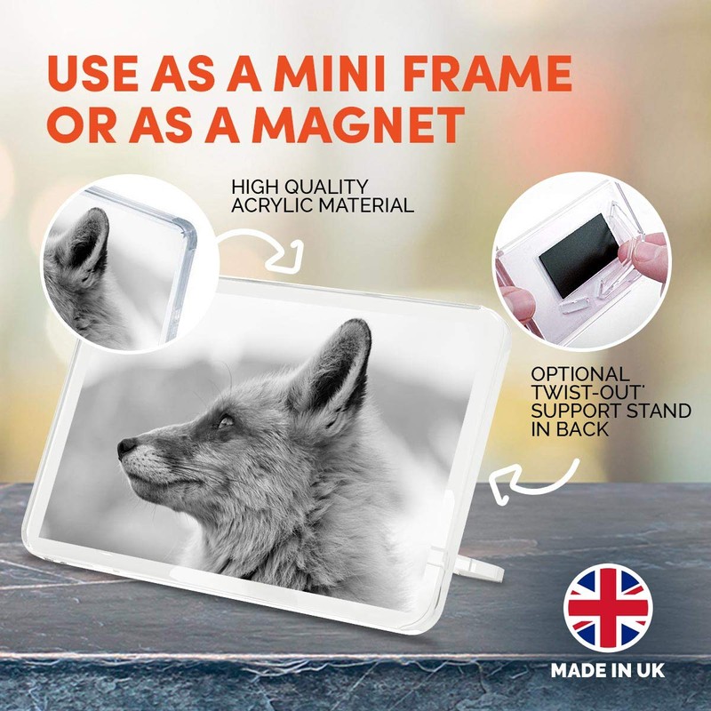 1 x Fridge Magnet - Wildfox Nature Wildlife #38710