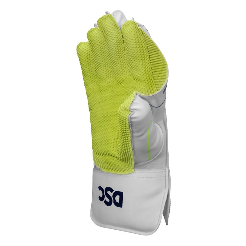 DSC Intense Attitude Wicket keeping Gloves - Youth (Multicolour)