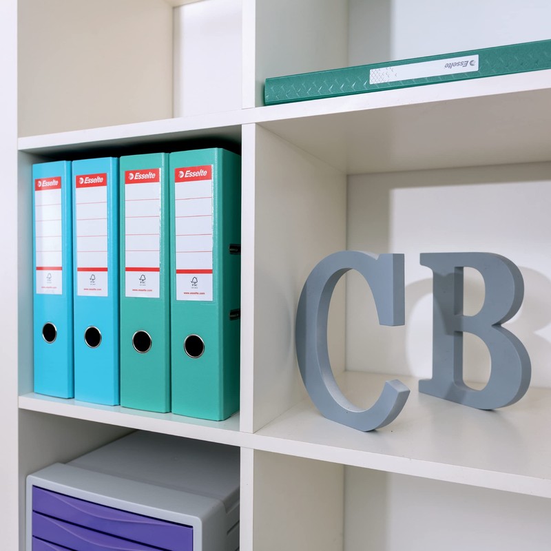 Esselte 626214 – PP Lever Arch Binder, Multi-Colour