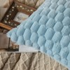 Mandioo Set of 2 Light Blue Super Soft Decorative Plush
