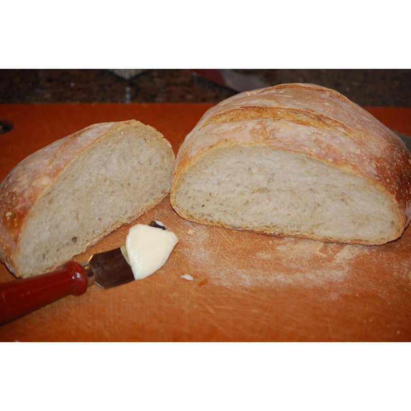 Unbranded 100 yr old sourdough starter from a bakery on