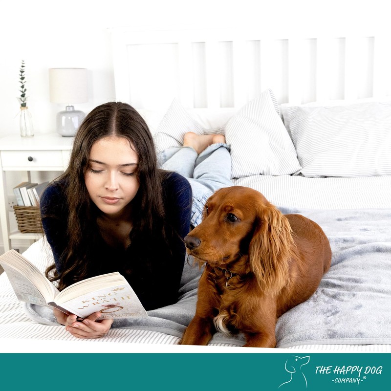 Waterproof Dog Blanket Washable (L) - Easy Clean, Premium, Soft