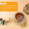 Wissotzky Mango Passion Fruit Herbal Tea (3 Pack -60 Tea