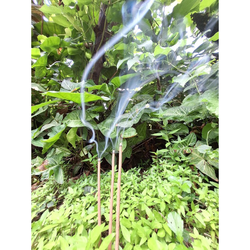 I-SHI-KI BALI Incense, Cobumikan Orange (Sacred Mikan), Natural Herbal Incense,