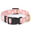 Rnivvi Dog Collar for Small Dogs, Cute Heavy Duty Adjustable
