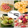 Griwuut Ice Cream Scoop Stainless Steel 5 cm, Ice Cream