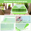 Legigo 2 Pack Seed Sprouter Trays with Lids- Soil-Free Cultivation
