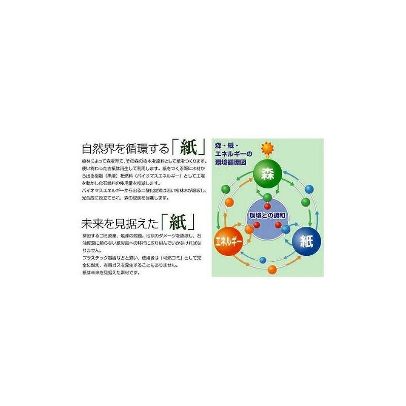 Paper Eco Spoon [Single Bag 3-Pack,] (Small) [100 mm] [100 Pieces] [Free
