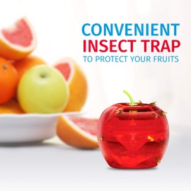 Fruit Fly Traps for Indoors by Raid | 2 Lures + 2 Refills | Effective Fruit Fly Killer & Gnat Traps for House Indoor Use | Easy to Use & Safe Food-Based Lure Fly Catcher