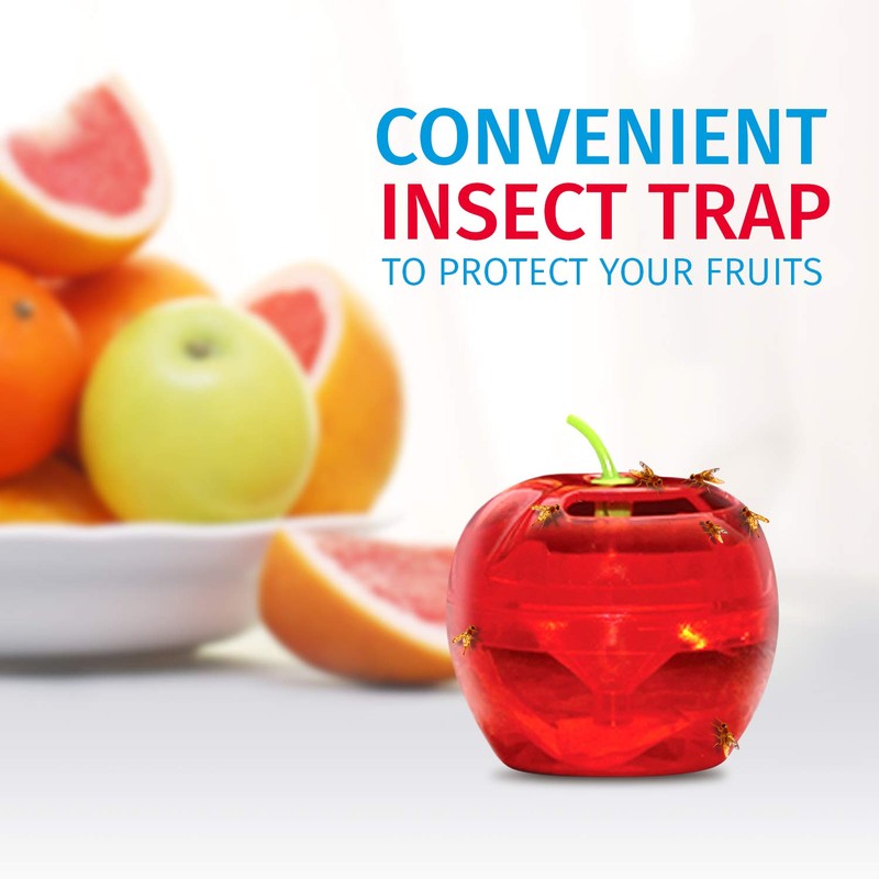 Fruit Fly Traps for Indoors by Raid | 2 Lures