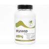 Hyssop 900mg ~ 90 Capsules - No Additives ~ Naturetition