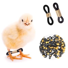 50 Pcs Baby Chick Splay Leg Hobble Chicken Bands Adjustable Hobbling Braces for Spraddle Leg Repair Poultry Care Supplies for Chick Bird Quails Ducks Newly Hatched (Black)