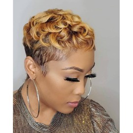 BeiSDWig Short Curly Hair Wig Synthetic Short Wigs for Black Women Ombre Brown Hair Wig Short Pixie Wigs for Women Short Cosplay Wig Brown Hair