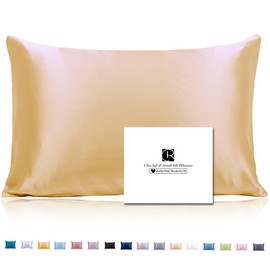 Ravmix Silk Pillowcase for Hair and Skin with Hidden Zipper, Both Sides Silk Pillow Case Standard 50×75cm, 1PCS, Gold