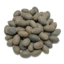 (자연초)국산 연자육 300g 연밥 연꽃씨 (Natural) Domestic Lotus Seeds 300g Lotus Rice Lotus Seeds