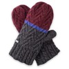 pistil Estes Mitten, Carbón, Talla Única