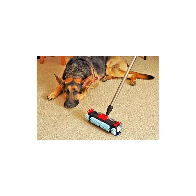 Cleanovation by The Cleaning Experts at Kirby® Comes The Spotty™