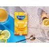 Tetley Zingy Lemon & Ginger Pack of 4 Boxes 80