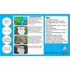 Craftables HTV hojas padres, Verde brillante, 5 Sheets, 1