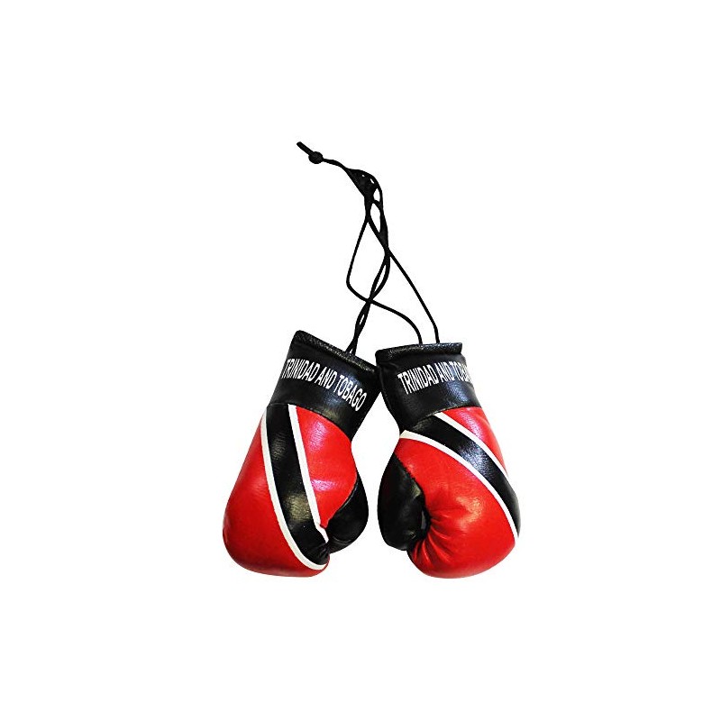 Trinidad Flag Mini Boxing Gloves