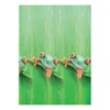 Kleine Wolke showercurtain, Green, 180 cm x 200 cm