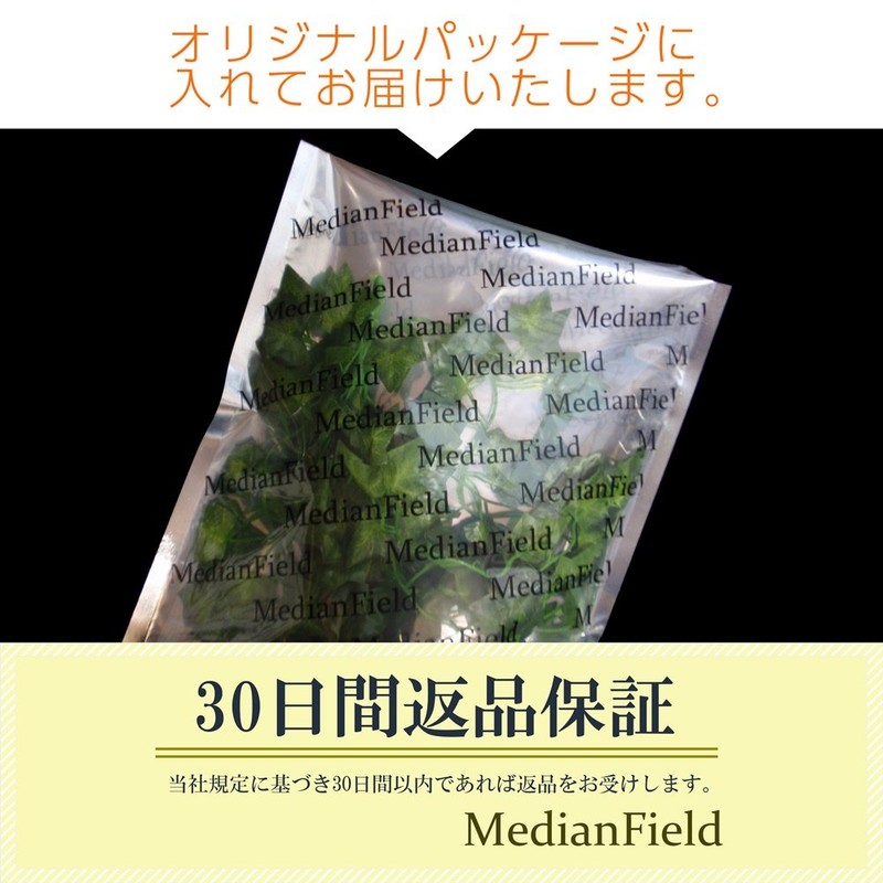 MedianField 【 観葉植物 アイビー 1本 】 壁掛け インテリア アンティーク 雑貨