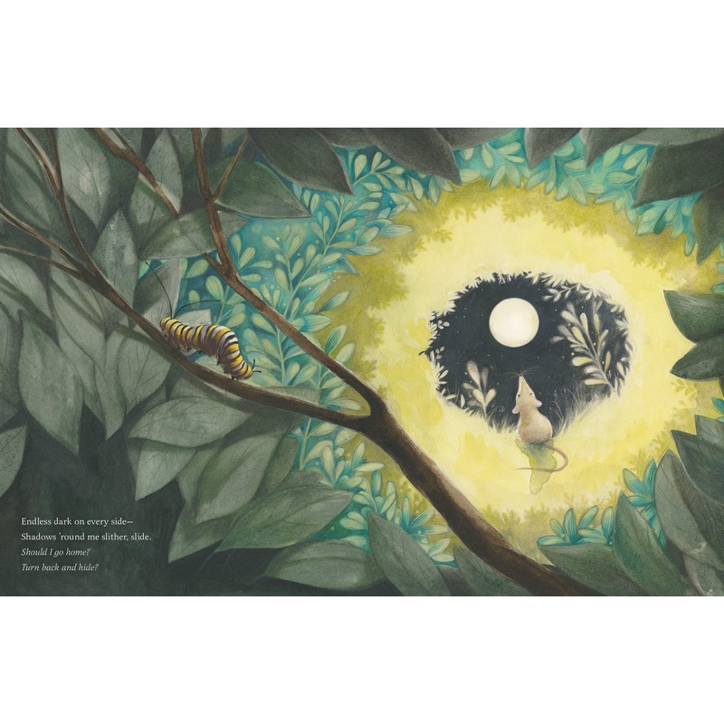 While Everyone Is Sleeping