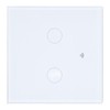 WiFi Smart Wall Switch for TUYA APP Control 2 Way