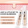 2 Packs Waterproof Full Coverage Concealer, Smooth Matte Flawless Creamy